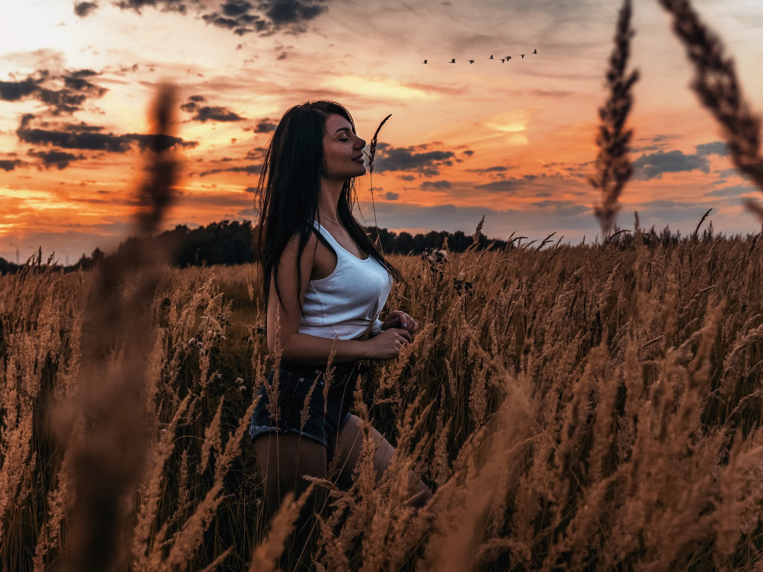 Голая Анна встречает закат в поле