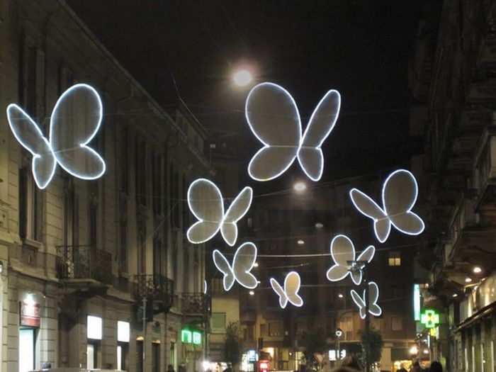 Светящиеся бабочки (8 фото)