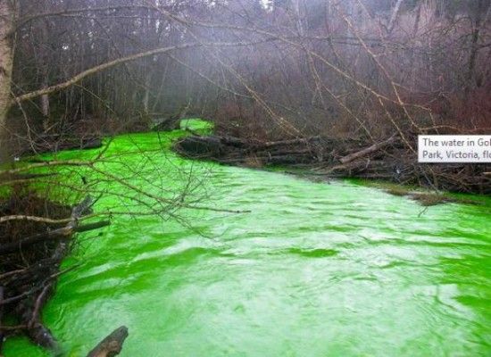 Позеленевшая река в Канаде (6 фото)