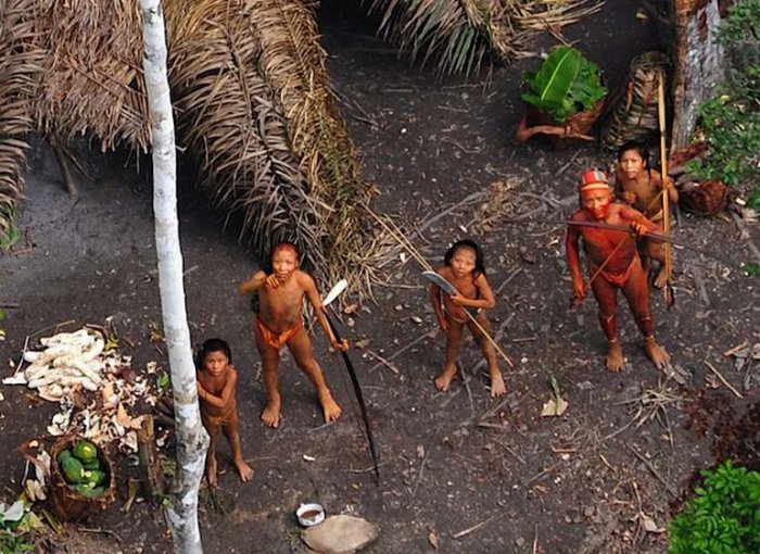 В Бразилии нашли новое неизвестное ранее племя (6 фото)