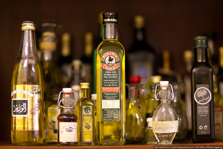 Производство оливкового масла. Оливковое масло. Оливковое масло производители. Завод оливкового масла. Иорданские оливковые масла.