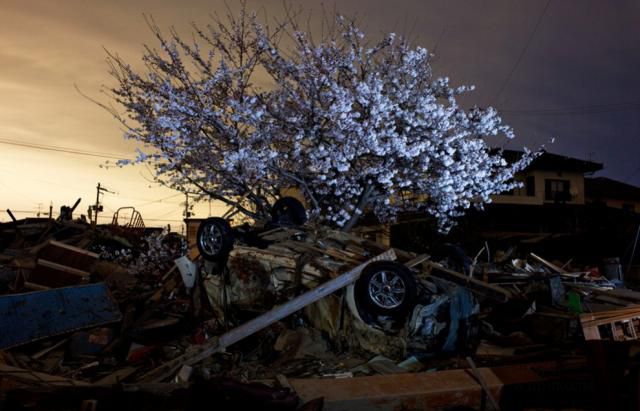 Япония спустя два месяца после катастрофы