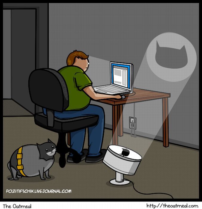 Кот разработчик. Шутки про программистов. Смешной программист. Программист приколы. Комиксы про программистов.