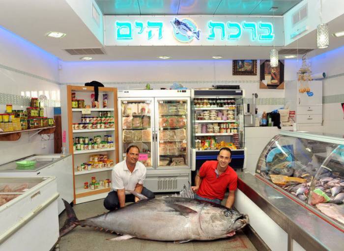 Самая большая и дорогая рыба в мире (7 фото)
