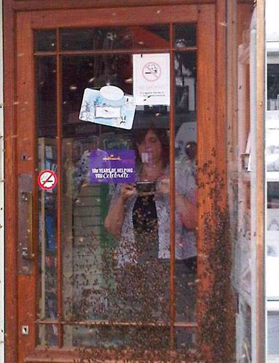Нападение пчел на кондитерский магазин (2 фото)