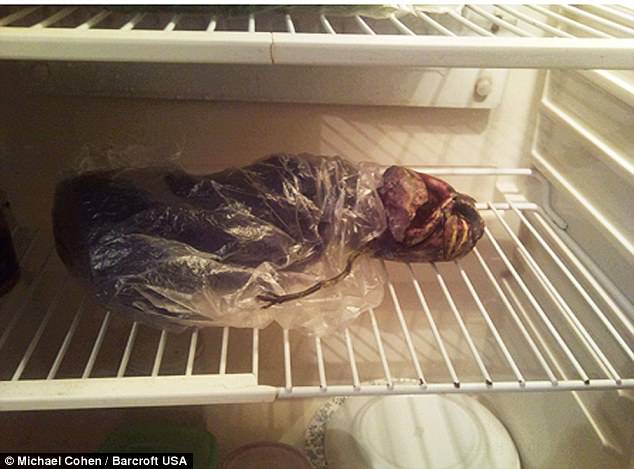 Пенсионерка два года хранила в холодильнике пришельца