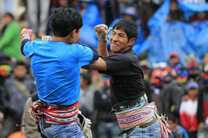 Перуанский клуб бойцов (19 фото)