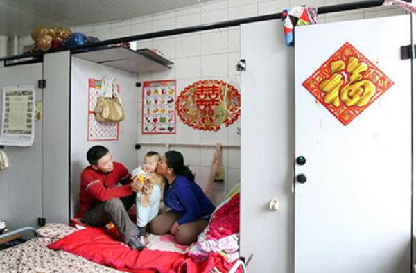 Китайская семья живет в туалете (13 фото)