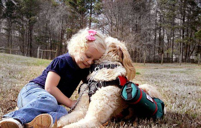 Собака помогает девочке дышать (8 фото)