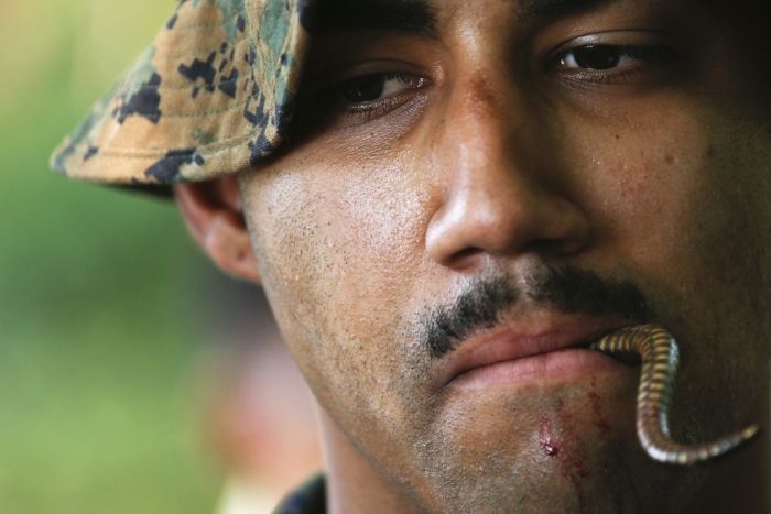 Как тайские солдаты учили американских коллег (10 фото)
