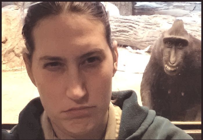 Забавная обезьяна троллит посетителей зоопарка