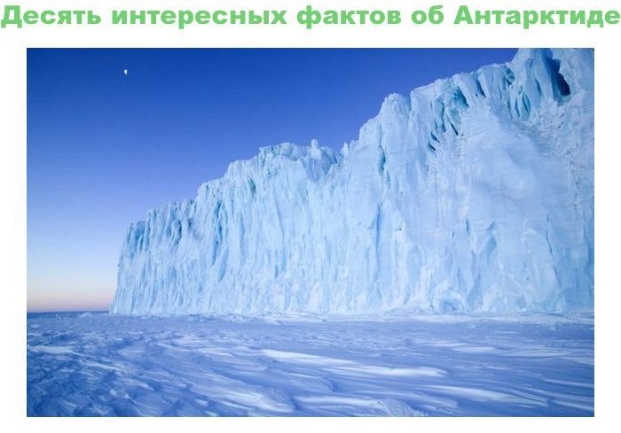 Интересные и познавательные факты об Антарктиде