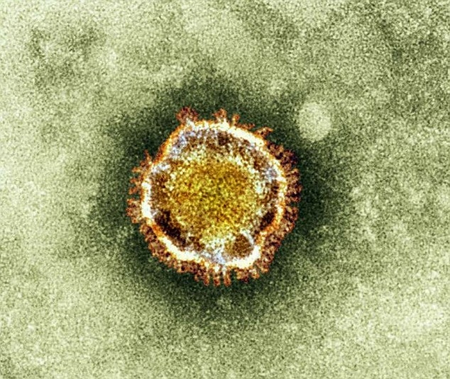 Новый вирус более опасный, чем атипичная пневмония