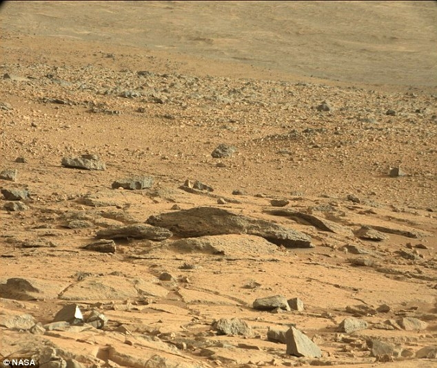 Угадайте, кого заметил блоггер на поверхности Марса