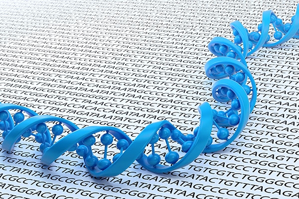 Почему стоит всерьёз опасаться кражи генетической информации