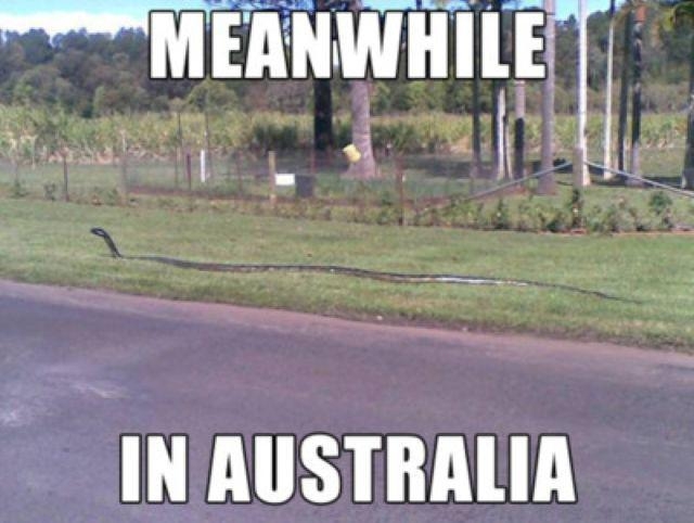 Забавные приколы из Австралии