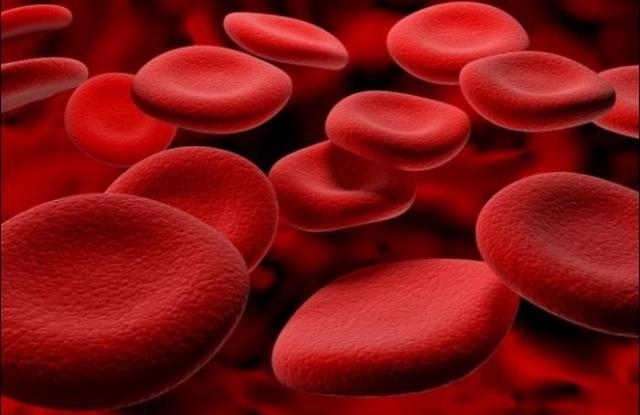Интересные и познавательные факты о крови