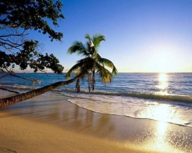 Мечта о райском острове