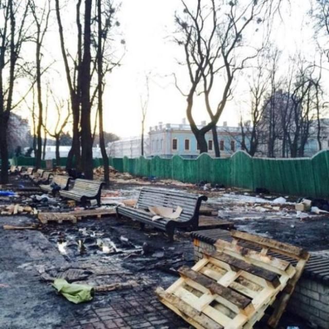 Последствия митинга в Мариинском парке в Киеве