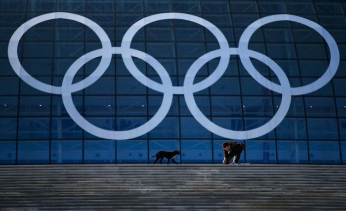 Бездомные собачки на Олимпийских играх