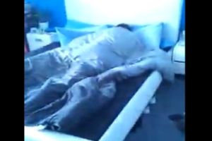Как некоторые собаки будят своих хозяев