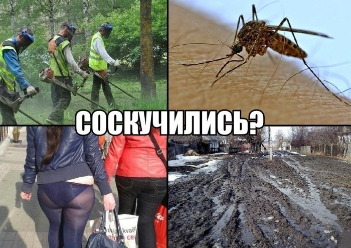 Уморительная подборка фотоприколов и просто красивых картинок