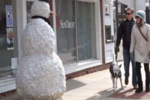 Злой снеговик троллит собак