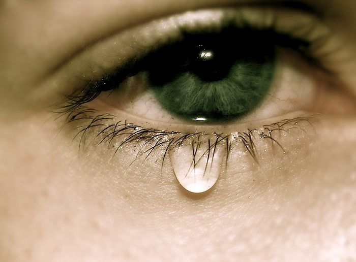 Человеческие слёзы под электронным микроскопом