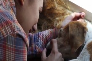 Ощущения, перед которыми сложно устоять