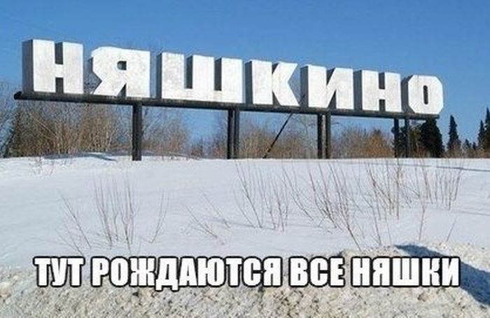 Веселая подборка фотоприколов