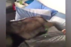 Еще один способ, как будить друзей