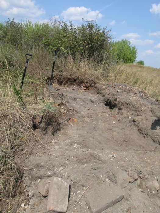 Раскопки в Липецкой области