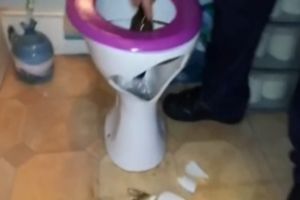 Не то дно пробил