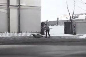 Ходячие обители зла