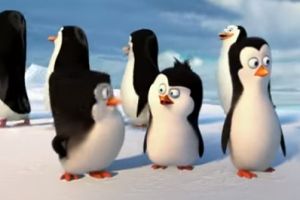 Предыстория пингвинов из Мадагаскара