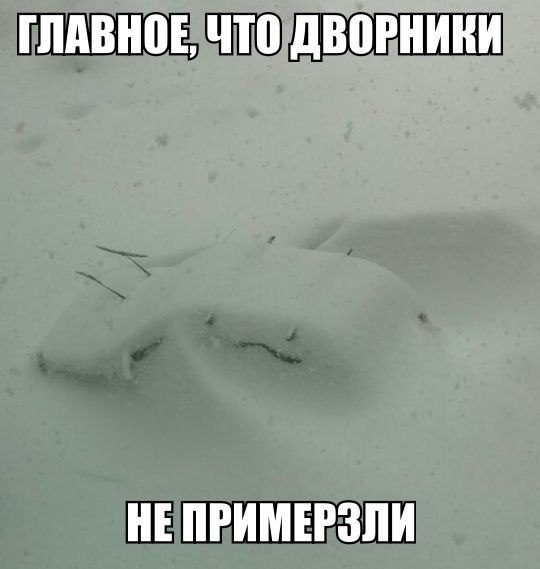 Автоприколы