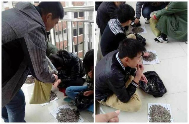 Наказание для студентов в Китае