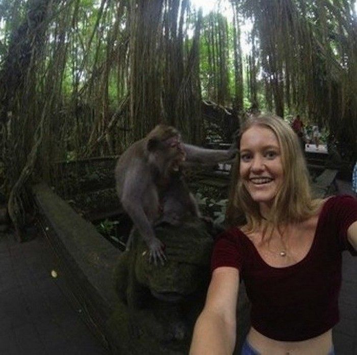 Снимок с обезьянкой