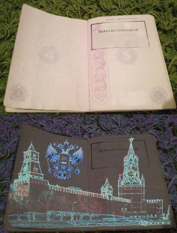 Российский паспорт в свете ультрафиолета