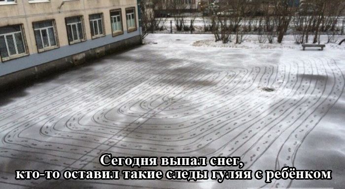 Уморительные фотоприколы