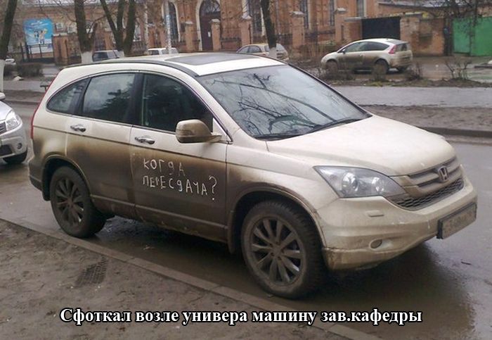 Уморительные фотоприколы