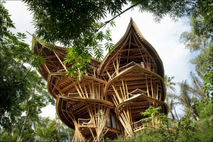 Дома из бамбука