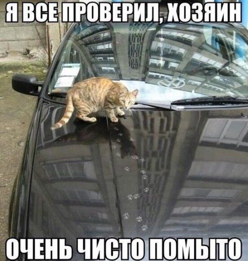 Автоприколы