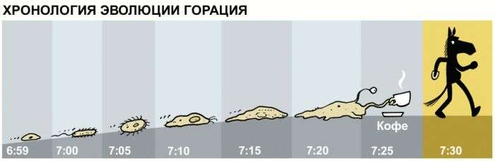 Забавные комиксы о коне Горации