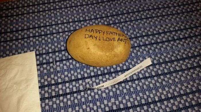Сообщения на картофелинах