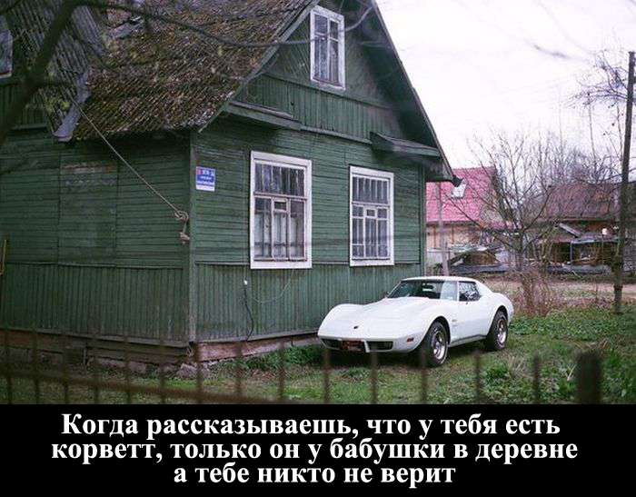 Уморительные фотоприколы