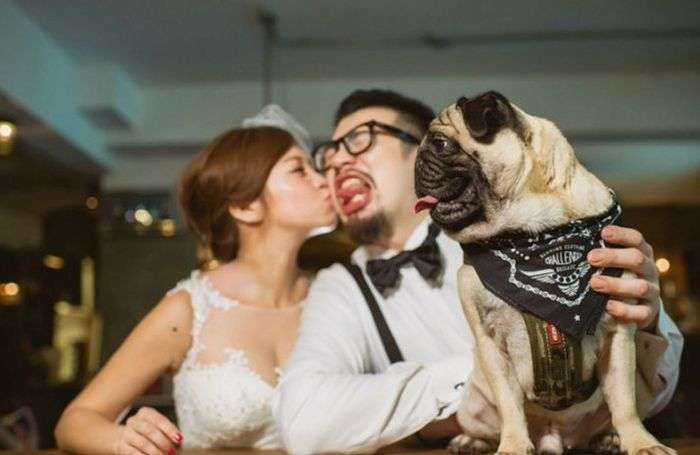 «Испорченные» фото со свадеб