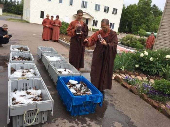Буддийские монахи выпустили 270 кг омаров обратно в океан