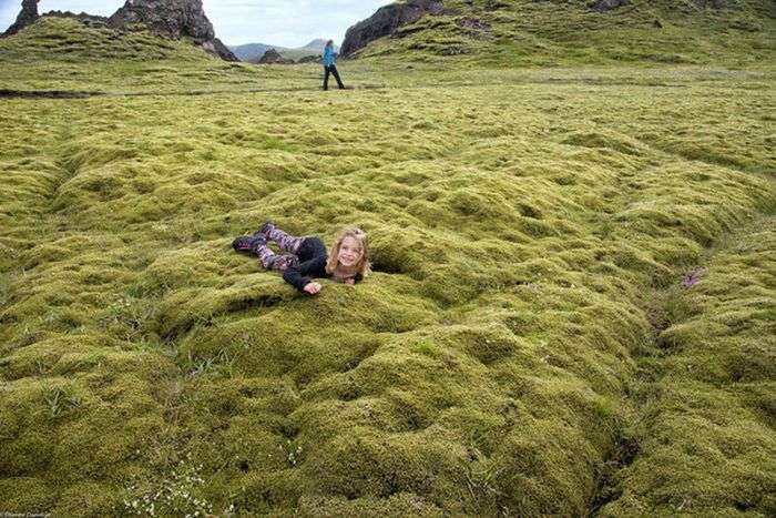 Удивительный мох в Исландии