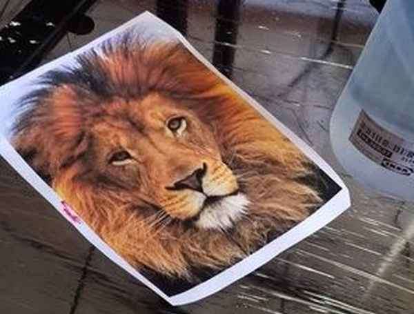 Рисунок льва тату-мастера